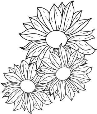 312x368 Rose Flower Line Drawing Vector Free Vector Download