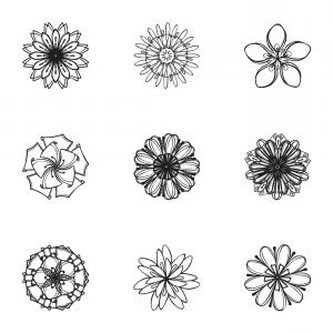 300x300 Flower Simple Vector Flower Line Tattoo, Mexican Flower Vector