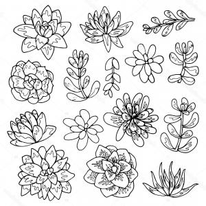 300x300 Black Line Drawing Of Paisley Design Flower Vector Hoodamath