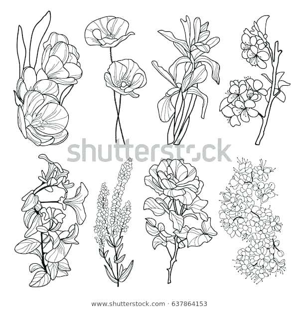 600x620 Flower Lines