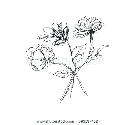 450x417 Simple Line Drawings Of Flowers