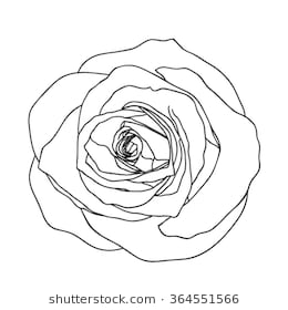 260x280 Collection Of 'rose Flower Line Drawing' Download More Than