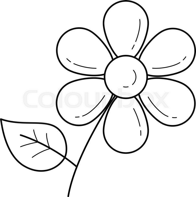 796x800 Daisy Flower Vector Line Icon Isolated Stock Vector Colourbox