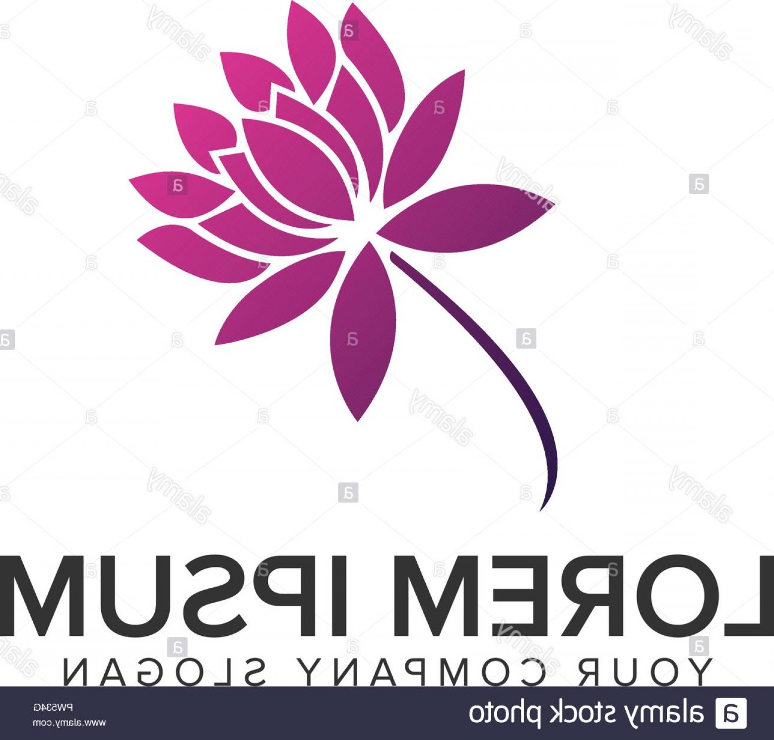 Lilly Logo Vector Catamart 1560x1492 Lilly Logo Vector Catamart