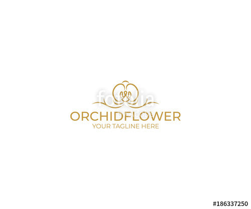 Orchid Flower Logo Template Phalaenopsis Vector Design Flower 500x417 Orchid Flower Logo Template Phalaenopsis Vector Design Flower