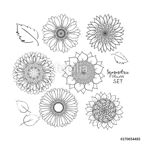 500x500 Floral Symmetric Summer Flowers Set Hand Drawn Doodle Flower