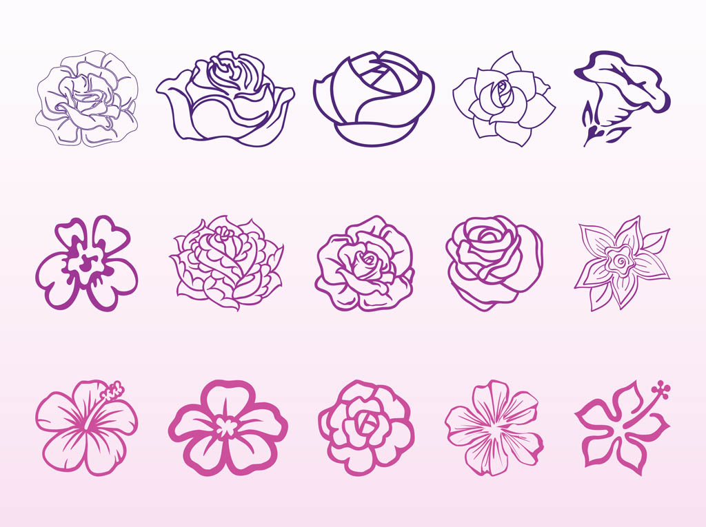 1024x765 Flower Blossoms Graphics Set Vector Art Graphics
