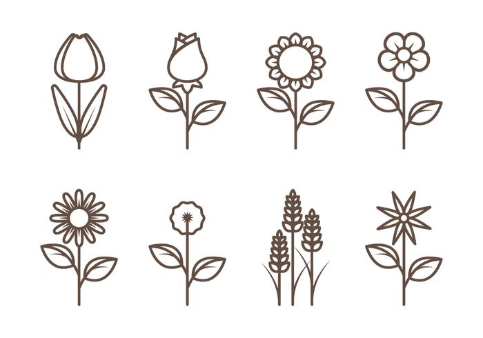700x490 Flower Outline Vectors