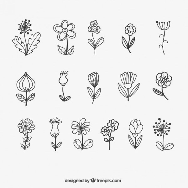 Free SVG Flower Outline Svg Free 17229+ File for Silhouette