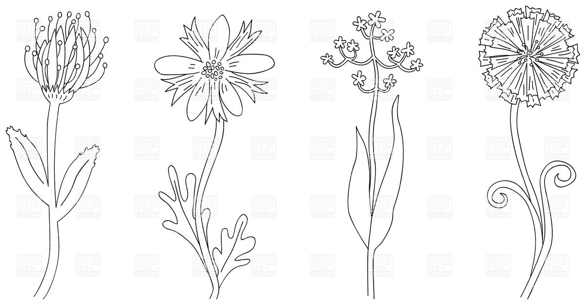 1200x625 Set Of Flowers Outlines Vector Image Of Plants And Animals