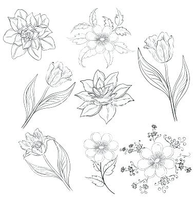 380x400 Outline Flowers Vector