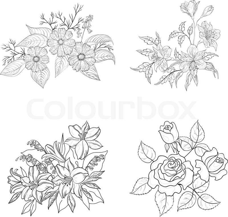 800x763 Cultivated Flowers, Outline, Set Stock Vector Colourbox