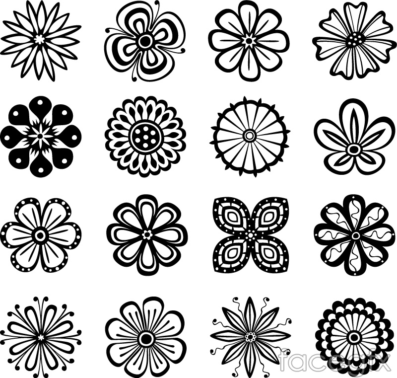800x761 Fine Lines In The Flower Patterns Vector Over Millions