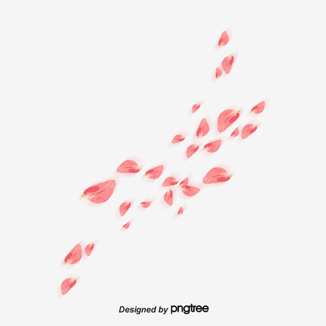 640x640 Petal Png Images, Download Petal Png Resources
