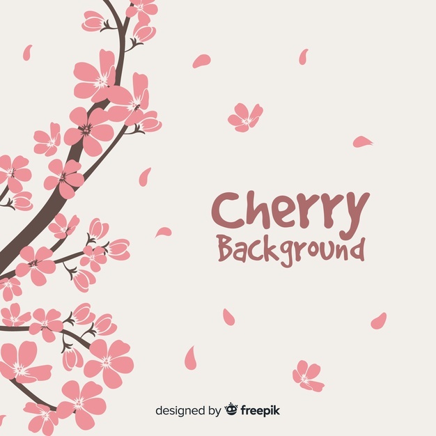 626x626 Petal Vectors, Photos And Free Download