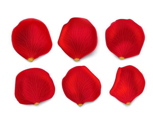 600x479 Red Flower Petal Illustration Vector Free Download