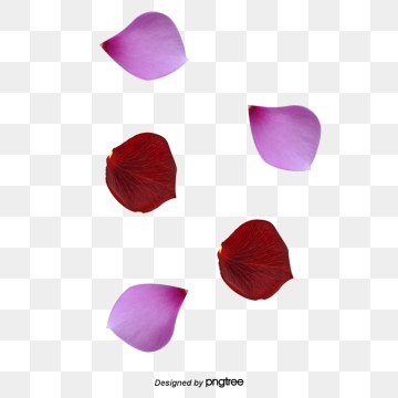 360x360 Rose Petal Png, Vector, And Clipart With Transparent