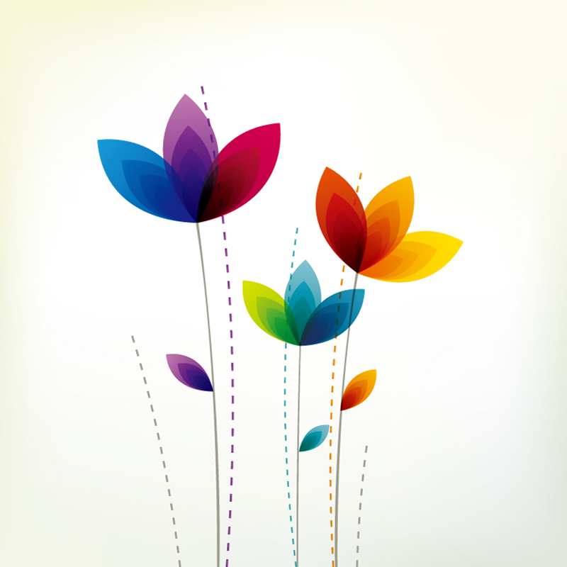 800x800 Colorful Abstract Flower Petals Vector Vector Beautiful