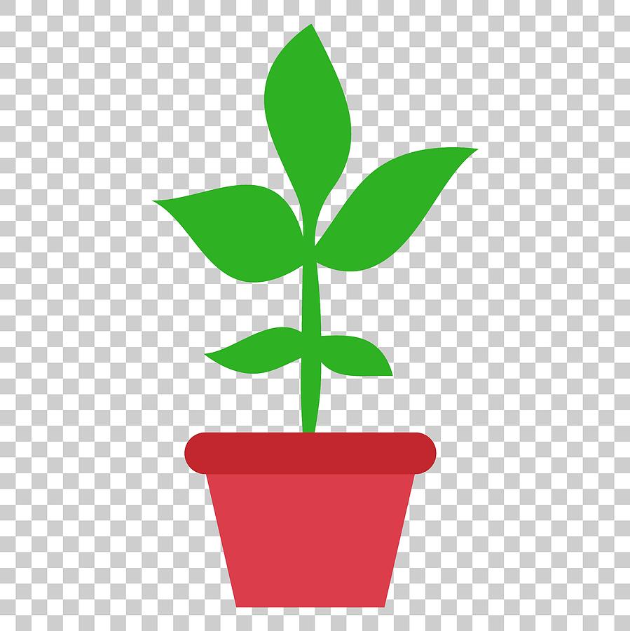899x900 Flower Pot Vector Icon In Flat Style Seedling Flower Illustration