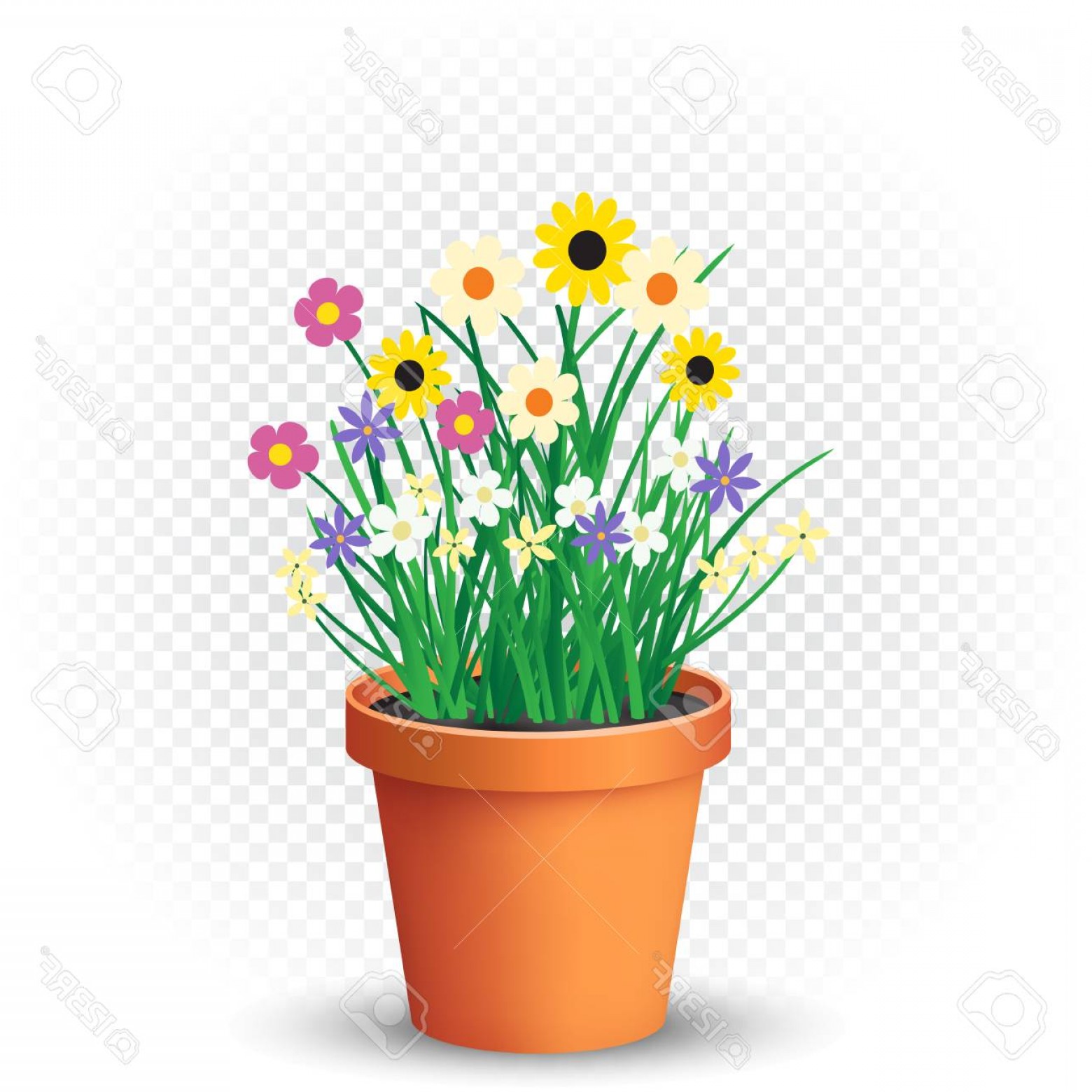 1560x1560 Photostock Vector Flowerpot With Flowers Plant And Grass On White