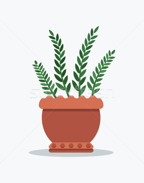 472x600 Rosemary Planted In Flower Pot Vector Illustration Vector