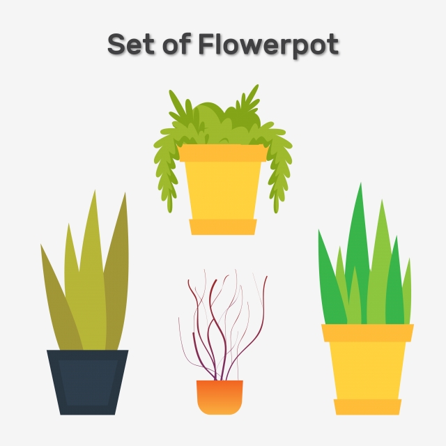 640x640 Set Of Flower Pot Vector Collection, Ficus, Cactus, Drawing Png