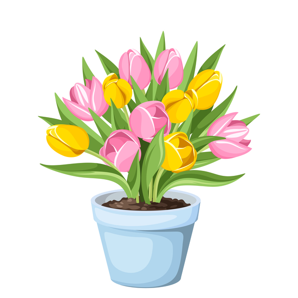 600x600 Tulips In Pot Vector Material Free Download