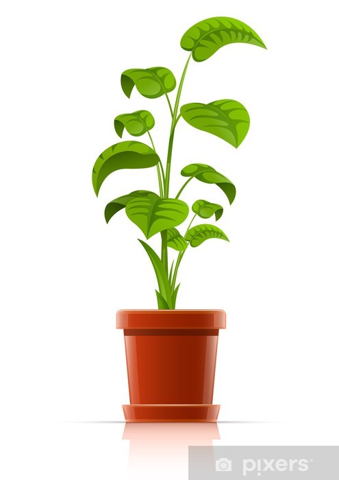 495x700 Plant In Flowerpot Vector Wall Mural