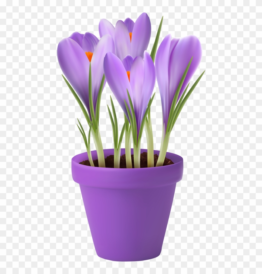 840x880 Butterfly Flowersart Flowersspring