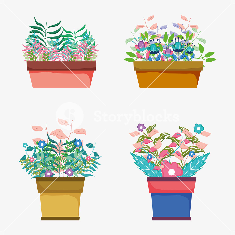 1000x1000 Set Flowers Plant With Leaves Inside Flower Pot Vector