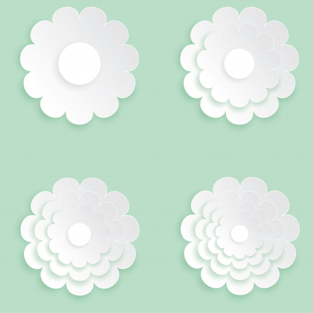 626x626 White Flower And Paper Cut Of Flower Shape Vector Premium Download