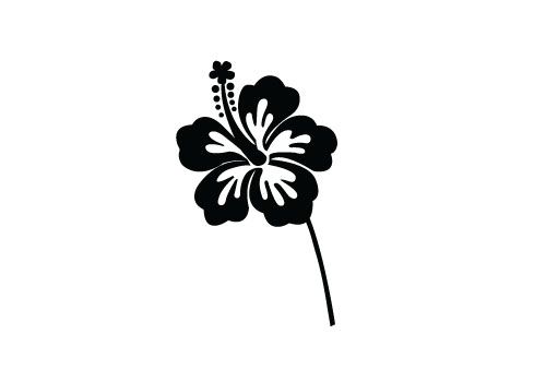 Free Hibiscus Flower Silhouette Vector 500x350 Free Hibiscus Flower Silhouette Vector