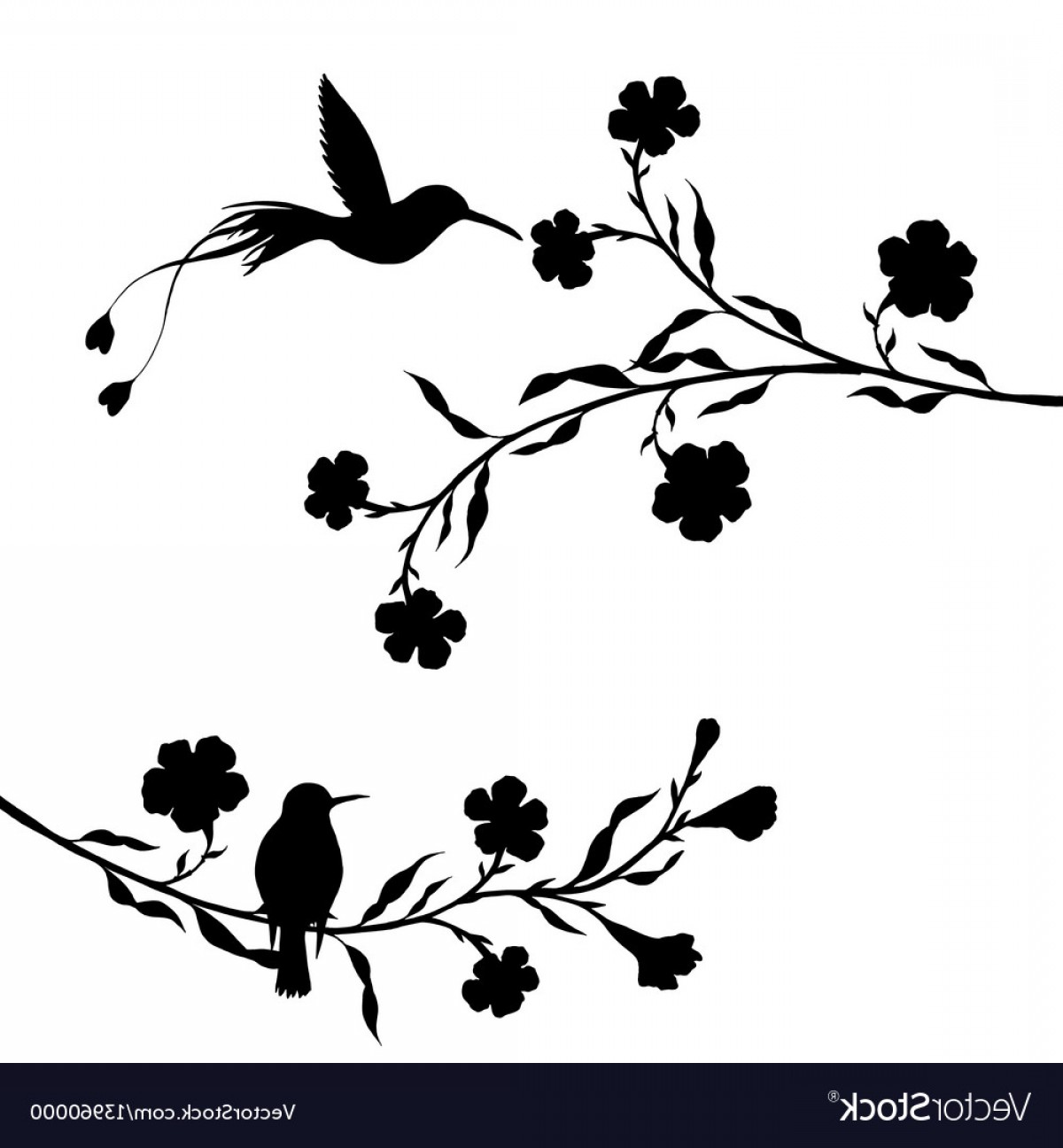 Hummingbirds And Flowers Silhouettes Vector Cqrecords 1200x1296 Hummingbirds And Flowers Silhouettes Vector Cqrecords