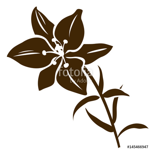 Lily Flower Silhouette Vector Illustration Decorative Flower 500x500 Lily Flower Silhouette Vector Illustration Decorative Flower