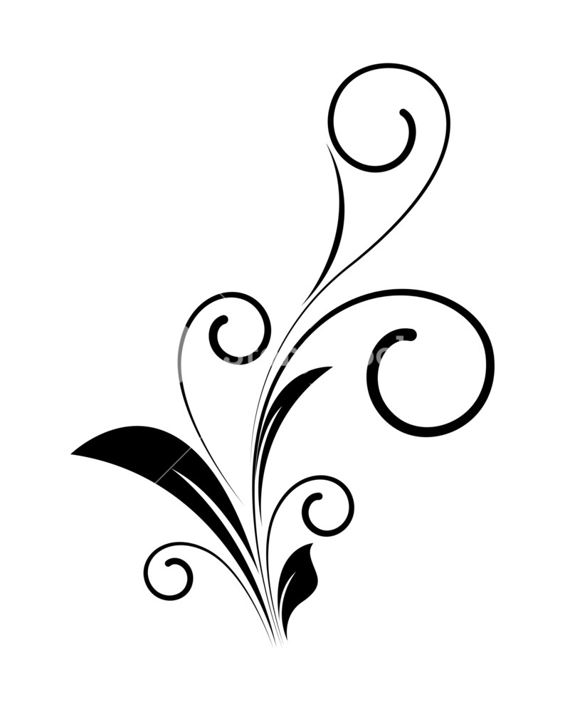 Decorative Swirl Floral Silhouette Vector Royalty Free Stock Image 794x1000 Decorative Swirl Floral Silhouette Vector Royalty Free Stock Image