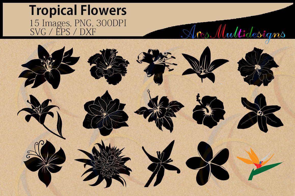 Tropical Flowers Silhouette Hq Flowers Silhouette Vector 1158x772 Tropical Flowers Silhouette Hq Flowers Silhouette Vector