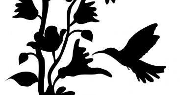 Vector Flower Silhouettes Archives 367x195 Vector Flower Silhouettes Archives