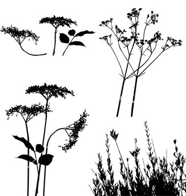 Wild Flower Silhouettes Vector 380x400 Wild Flower Silhouettes Vector