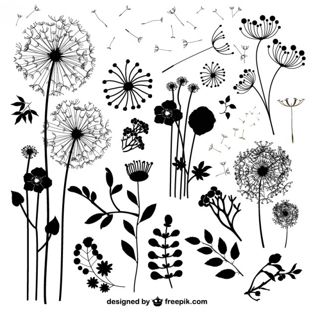 Wild Flowers Silhouettes Vector Free Download 626x626 Wild Flowers Silhouettes Vector Free Download