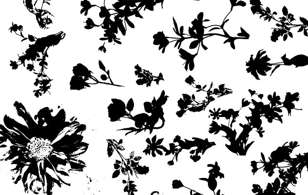 Floral Silhouette Vector Pack Free Vector In Adobe Illustrator 600x380 Floral Silhouette Vector Pack Free Vector In Adobe Illustrator