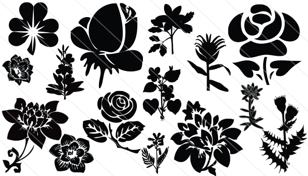 Flower Silhouette Vector 610x350 Flower Silhouette Vector