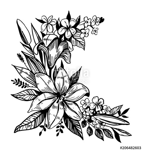 Flowers Sketch Stock Image And Royalty Free Vector 472x500 Flowers Sketch Stock Image And Royalty Free Vector