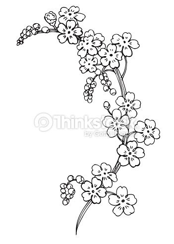 Forgetmenots Sketch Vector Illustration Stock Illustration 351x492 Forgetmenots Sketch Vector Illustration Stock Illustration