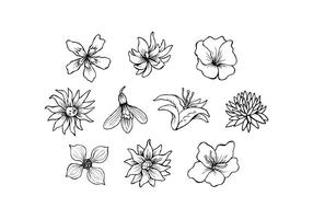 Hand Drawn Flower Free Vector Art 286x200 Hand Drawn Flower Free Vector Art