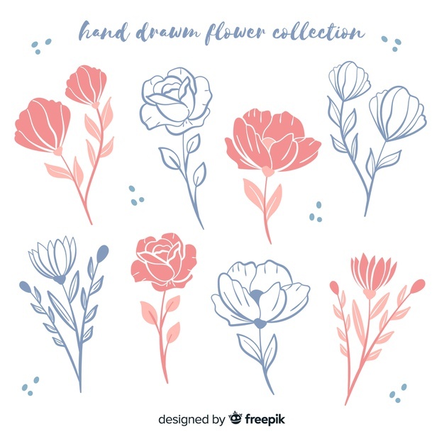 Hand Drawn Floral Sketches Collection Vector Free Download 626x626 Hand Drawn Floral Sketches Collection Vector Free Download