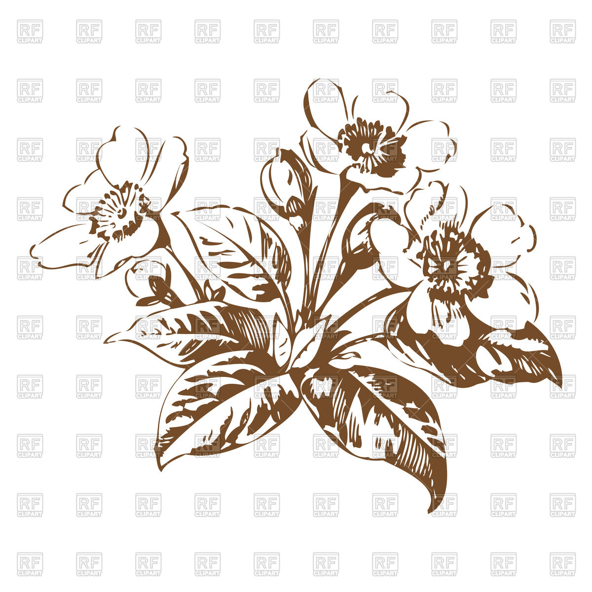 Cherry Blossom Flowers Sketch Vector Image Of Plants And Animals 1200x1200 Cherry Blossom Flowers Sketch Vector Image Of Plants And Animals