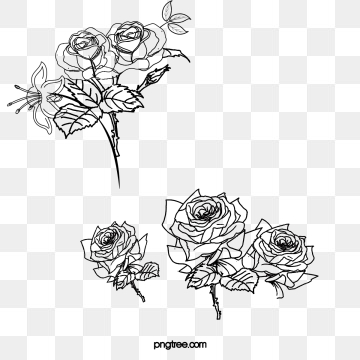 Flower Sketch Png, Vector, And Clipart With Transparent 360x360 Flower Sketch Png, Vector, And Clipart With Transparent