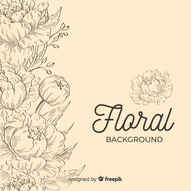Flower Sketch Vectors, Photos And Free Download 626x626 Flower Sketch Vectors, Photos And Free Download