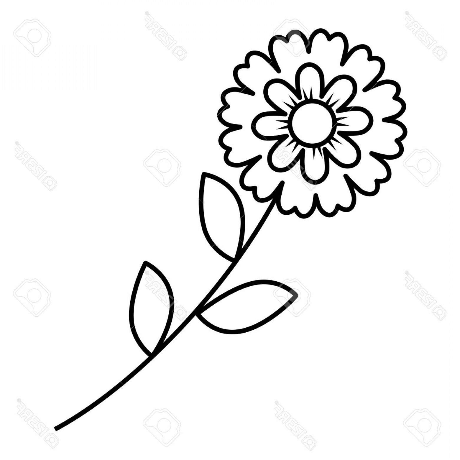 Photostock Vector Flower Stem Leaves Nature Petals Decoration 1560x1560 Photostock Vector Flower Stem Leaves Nature Petals Decoration