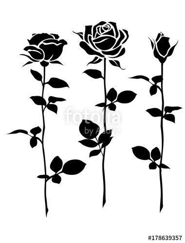 Vector Decorative Set Of Rose With Long Stem Vector Flower 380x500 Vector Decorative Set Of Rose With Long Stem Vector Flower